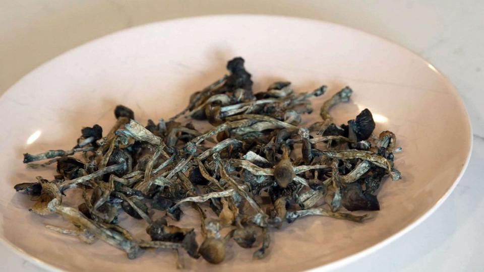 PHOTO: A plate of 'magic mushrooms' sits on a counter in Tracey Tee's Colorado home. (ABC News)