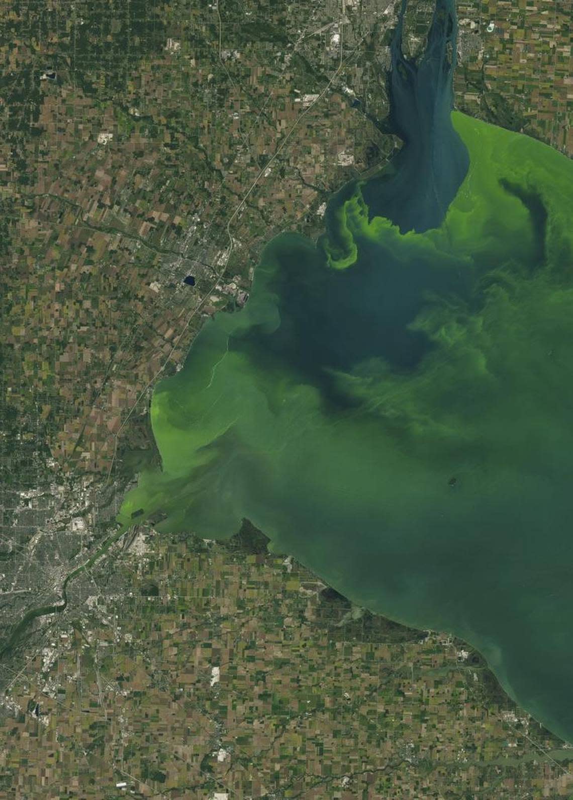 This Sept. 26, 2017 satellite image made available by NASA shows Toledo, Ohio in the lower left corner with a large phytoplankton bloom in western Lake Erie. The bloom contains microcystis, a type of freshwater cyanobacteria that produce toxins that can contaminate drinking water and pose a risk to human and animal health.