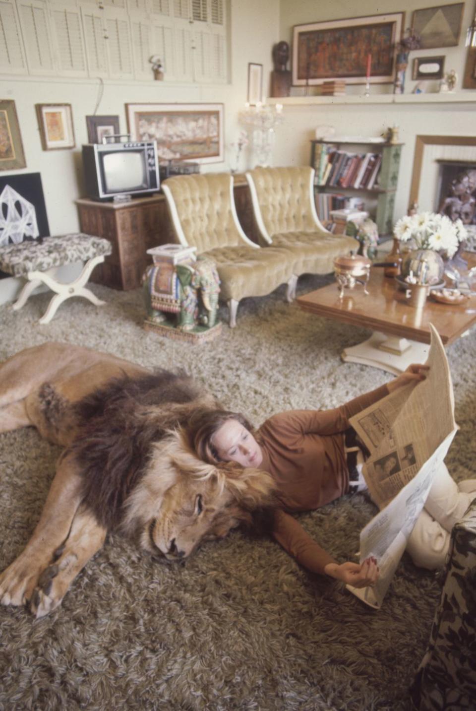 <p>Yes, you read that correctly. Not only did <em>The Birds </em>actress Tippi Hedren own a <a href="https://www.life.com/animals/something-wild-at-home-with-tippi-hedren-melanie-griffith-and-a-400-pound-lion/" rel="nofollow noopener" target="_blank" data-ylk="slk:pet lion named Neil;elm:context_link;itc:0;sec:content-canvas" class="link ">pet lion named Neil</a>, but he lived in her house with her and her young daughter, Melanie Griffith. An advocate for wild cat rescue, Tippi founded the Roar Foundation in 1983 and eventually established the <a href="https://www.shambala.org/about.htm" rel="nofollow noopener" target="_blank" data-ylk="slk:Shambala Reserve;elm:context_link;itc:0;sec:content-canvas" class="link ">Shambala Reserve</a> in California. </p>