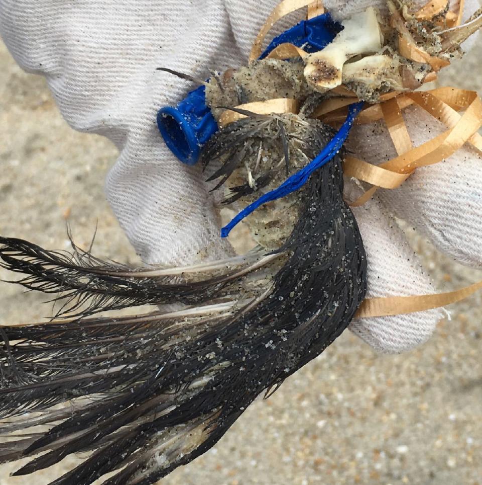 A severed bird's swing is found tied to a balloon string at Monmouth Beach in 2017.