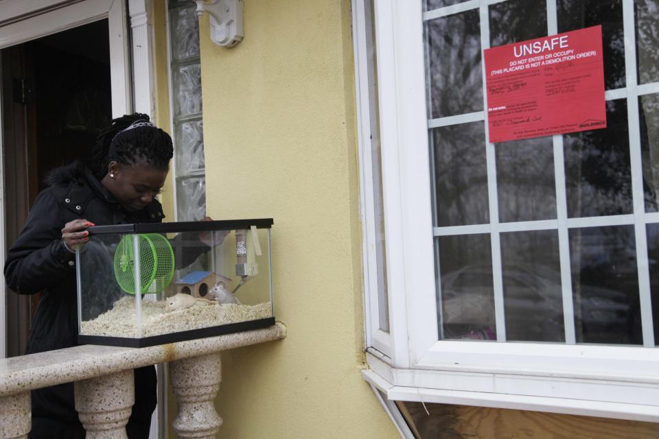 In this Nov. 1, 2012, photo, Irmine Celestine looks at her nephew's gerbils on the stoop of his house in the Midland Beach section of Staten Island, New York. After the home was deemed unsafe by inspectors, Celestine agreed to take the gerbils until her nephew could find a more permanent place to stay. Superstorm Sandy drove New York and New Jersey residents from their homes, destroyed belongings and forced them to find shelter for themselves _ and for their pets, said owners, who recounted tales of a dog swimming through flooded streets and extra food left behind for a tarantula no one was willing to take in. (AP Photo/Seth Wenig)