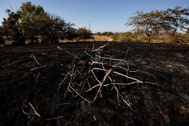 A burned field is seen after Palestinians in Gaza sent incendiary balloons over the border between Gaza and Israel, Near Nir Am