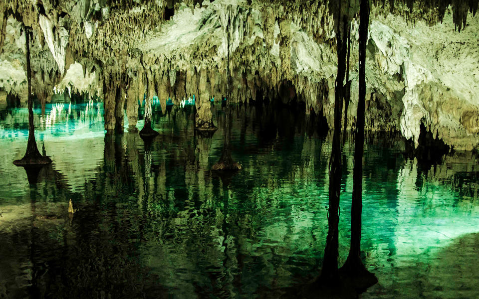 These Secret Mexican Cenotes Are in the Most Unexpected Places — From a Costco to an Airbnb