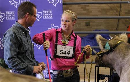 Stanley Kelley (L) and his daughter Kaley Kelley, both of College Station, Texas talk prior to showing her Charolais steer in the prospects competition at the State Fair of Texas in Dallas, Texas October 2, 2013. For more than a century, ranchers and their kids have paraded cattle around the dusty show ring at the State Fair of Texas in Dallas, in a rite of passage that is part farm economics, part rural theater. Today, with U.S. auction prices for champion cattle topping $300,000 a head and hefty scholarship checks for winners at stake, the competitive pressures are intense. Many animals get muscle-building livestock drugs added into animal feed. Stanley Kelley said he uses the medicated feed additive Showmaxx on some of their steer. He said the product increases the amount of "middle meat" cuts like T-bone, rib eye, porter and sirloin steaks along the steer's back and also builds lean muscle in the hind quarter, known in show terms as "putting a butt on". The Charolais in the photo was not given Showmaxx. REUTERS/Mike Stone