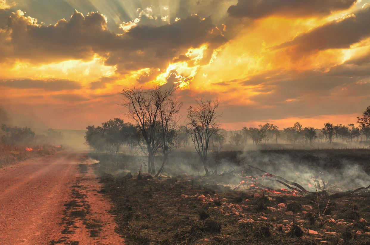 Bushfires will increase in intensity as warming continues. Source: Getty