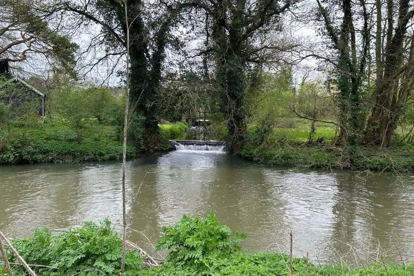 Scenery along the riverside trail between Canterbury and Chartham