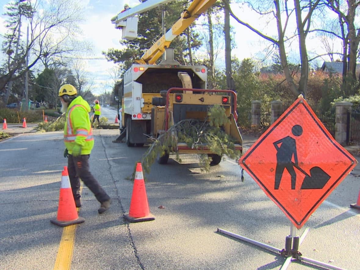 Workers clear a tree that fell to the ground and took local wires with it due to strong winds near Montgomery Road and Oak Hampton Boulevard, near Etobicoke. (Darek Zdzienicki/CBC - image credit)