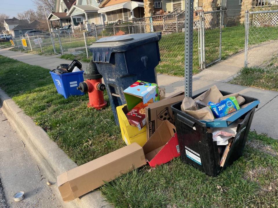 Trash cart and overflowing recycling in the Ivanhoe neighborhood.