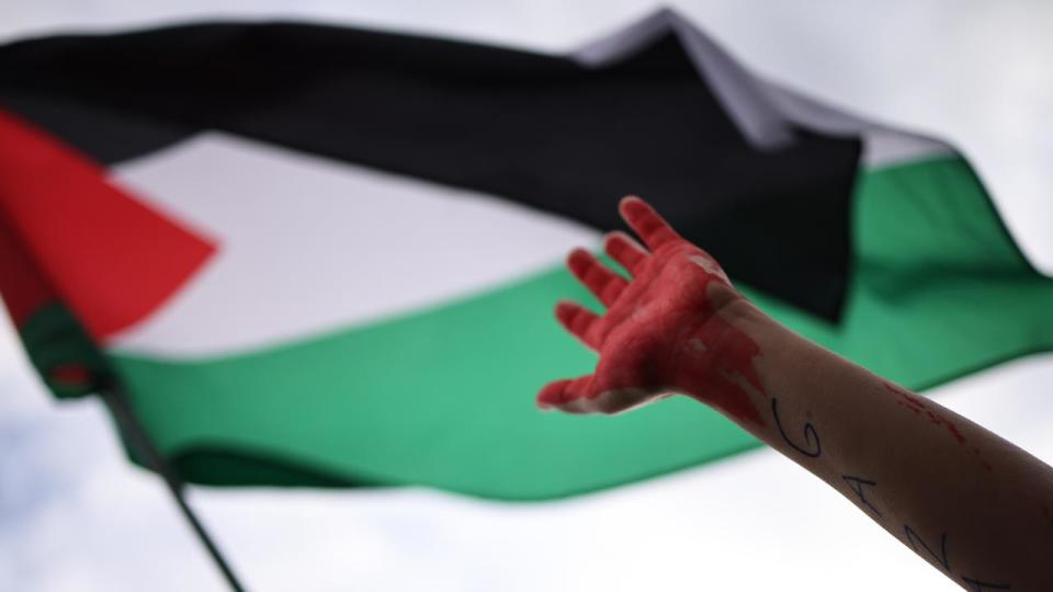 A protester and a Palestinian flag 