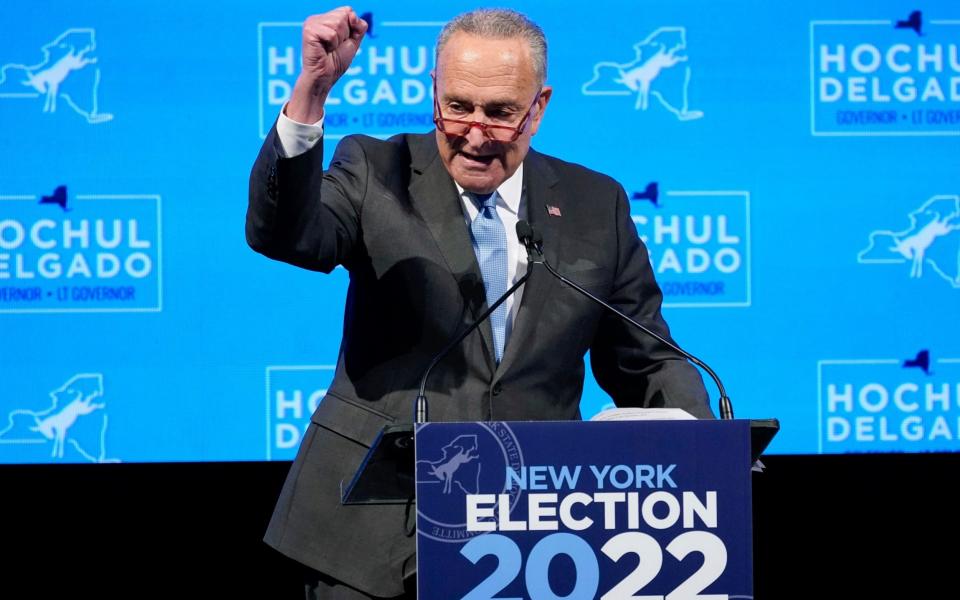 Chuck Schumer celebrates his result in New York - AP Photo/Mary Altaffer