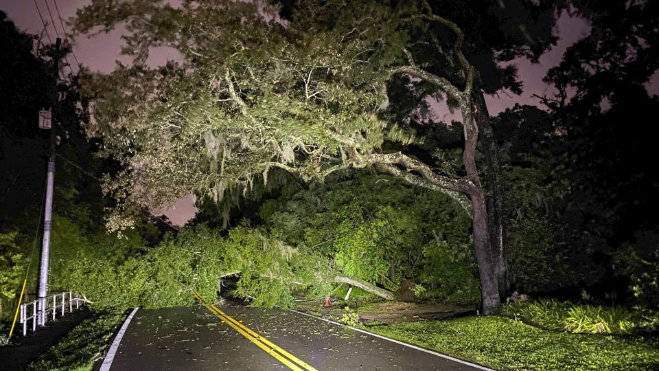 Fallen trees block Front Street on Wednesday, July 7, 2021 in Valrico. Tropical Storm Elsa continued to track north after dropping heavy rain in the Tampa Bay area. (Luis Santana/Tampa Bay Times via AP)