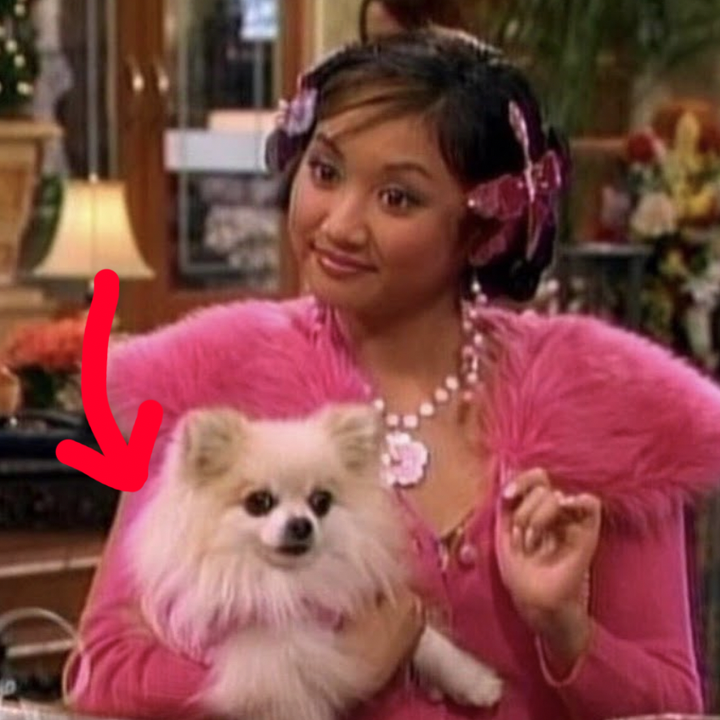 London Tipton holding her tiny dog in the hotel lobby