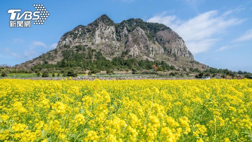 濟州島是深受台灣遊客喜愛的觀光地。（示意圖／shutterstock 達志影像）