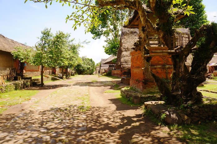 Tenganan Village layout: The layout of Tenganan. Houses on the left side, pavilions and altars in the middle, and more houses to the right. (