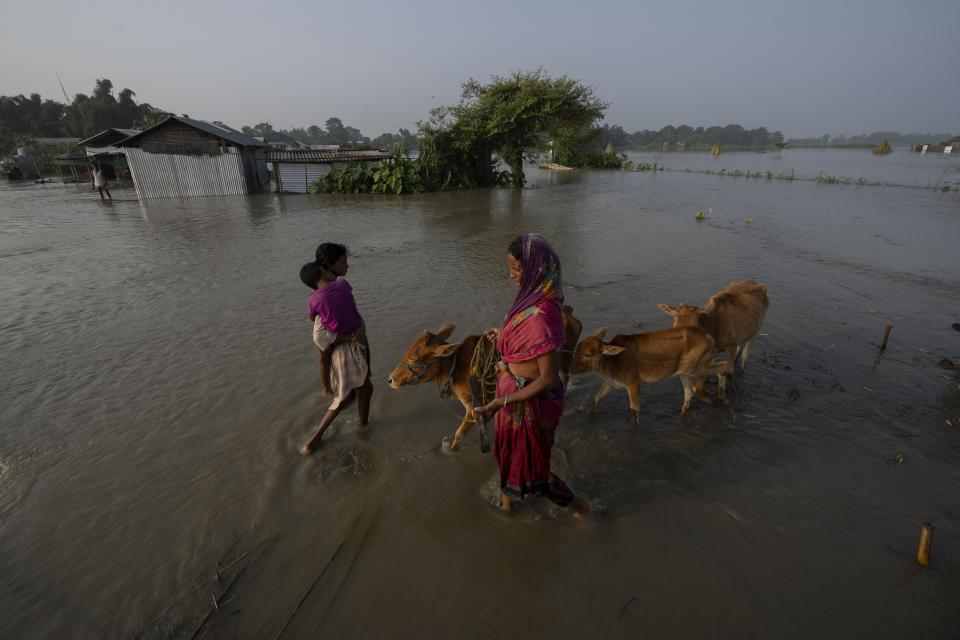 Villagers prepare to leave their submerged house in Sandahkhaiti, a floating island village in the Brahmaputra River in Morigaon district, Assam, India, Wednesday, Aug. 30, 2023. (AP Photo/Anupam Nath)