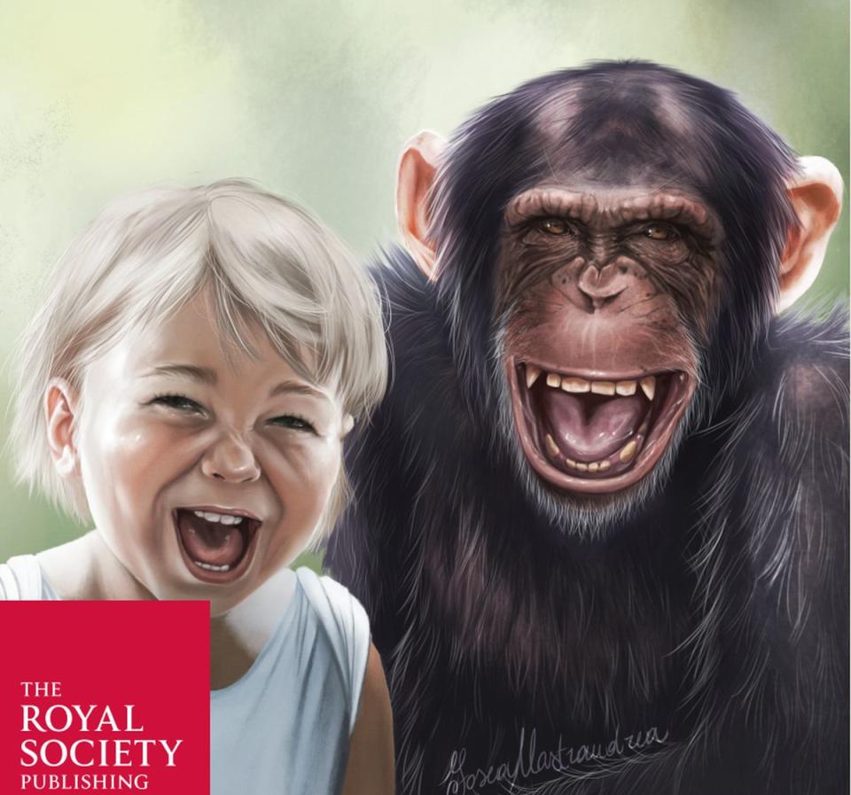 El estudio sobre cosquillas es además la portada del número de noviembre de la revista Philosophical Transactions of the Royal Society B: Biological Sciences