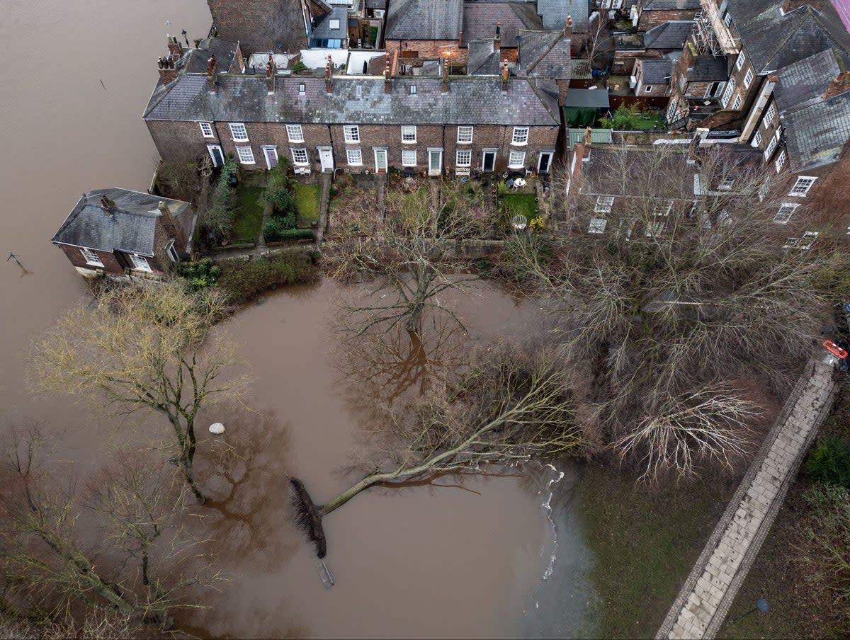 A fallen tree in floodwater in York. Storms are set to increase in number (Danny Lawson / PA)