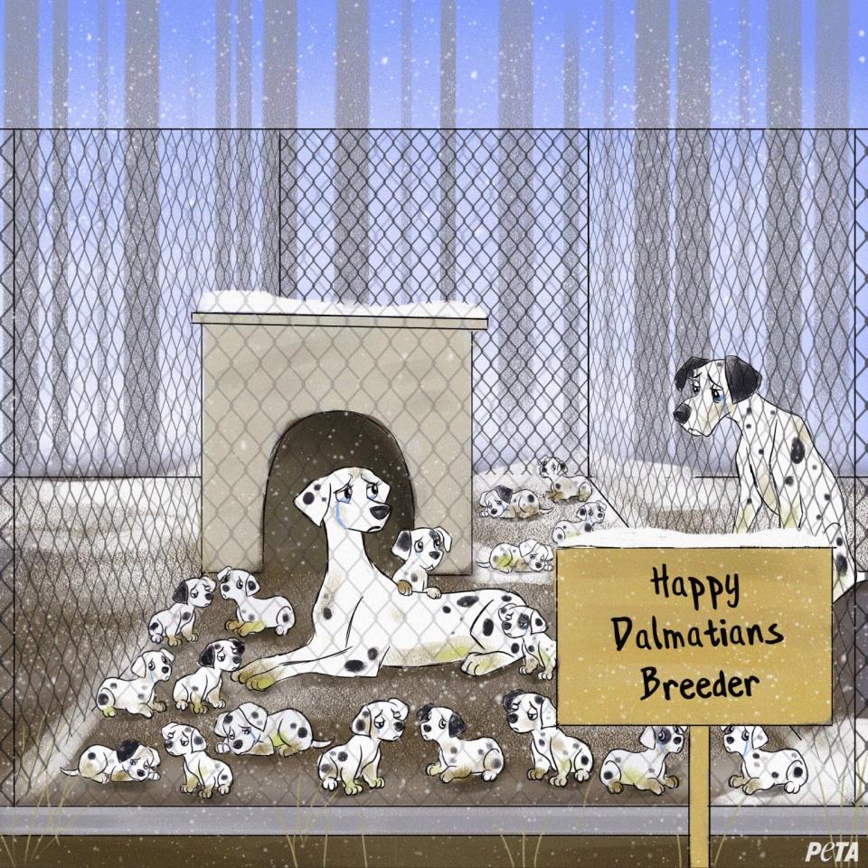 Dogs from '101 Dalmations' sit in a dirty outdoor cage in the snow.