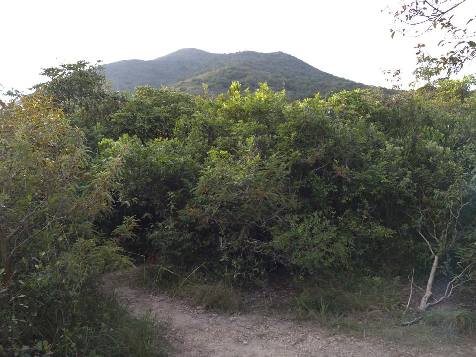 行山路線｜「西貢千島湖」太墩郊遊路線！一望無際賞絕色靚景