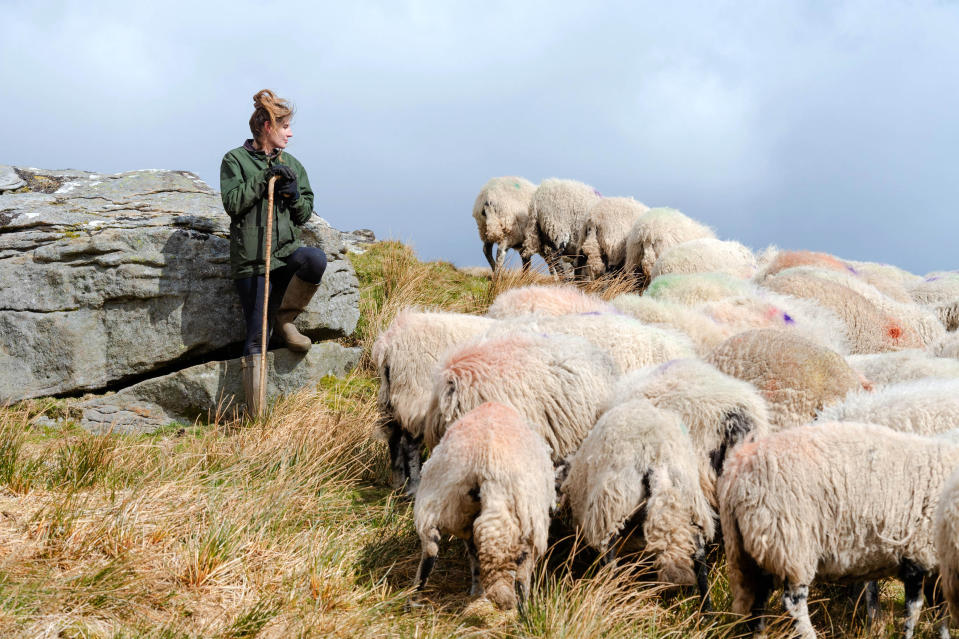 <p>EDITORIAL USE ONLY Yorkshire Shepherdess, Amanda Owen launches Premier Inn's first-ever video streaming platform Ewe.Tube, dedicated to encouraging the nation to sleep better by digitally counting sheep. Issue date: Wednesday April 21, 2021.</p>
