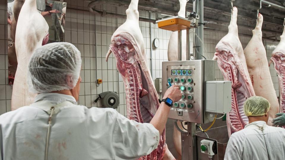 Schweinehälften passieren einen der Kontrollterminals im Zerlegebereich eines Schlachthofs in Niedersachsen.