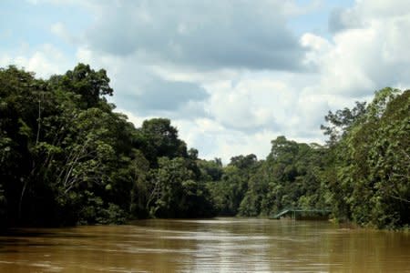 A pier of Ecuador's state oil company Petroamazonas is seen on the Tiputini river, in Yasuni, Ecuador October 20, 2017. REUTERS/Daniel Tapia