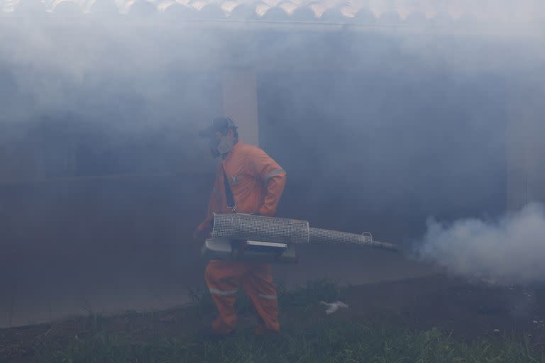 Las fumigaciones no serían ya tan efectivas ante las mutaciones de los súper mosquitos (AP Foto/Juan Karita, Archivo)