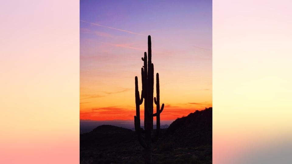 <div>A lovely look at a cactus silhouette as it dances in the sunset! Thanks Stephanie Wiltz for sharing!</div>