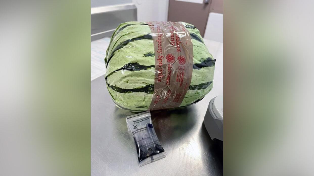 Fake watermelon storing drugs