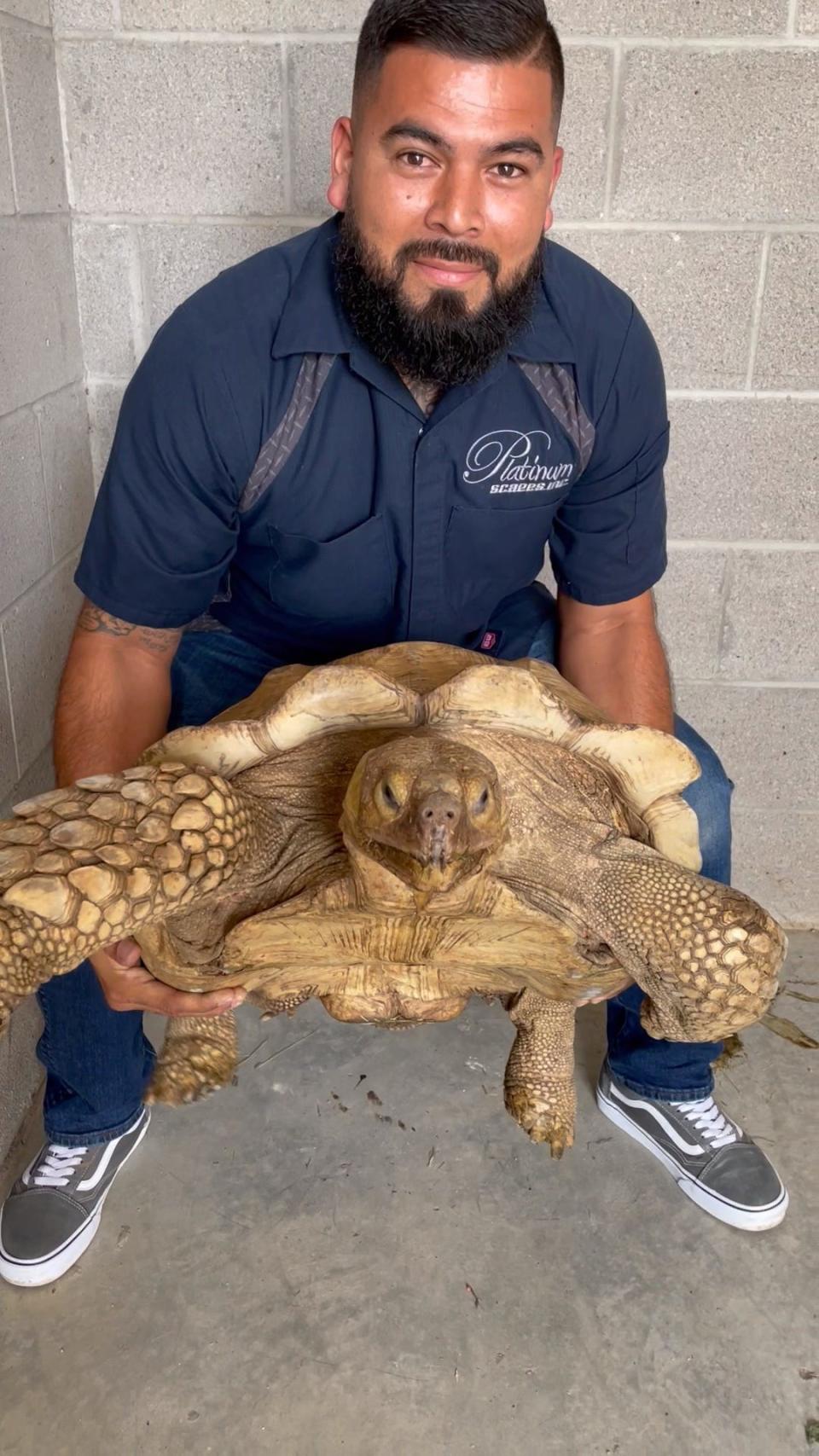 Gabriel Fernandez and Lorenzo, his 180-pound tortoise who escaped in August 2023. The pair were reunited on Sept. 21, 2023.