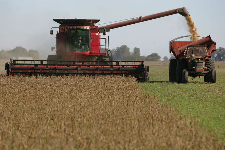 Aacrea advirtió que la actual campaña agrícola puede ser más grave que la de 2008/9, en la que hubo una merma en la producción de granos de 30 millones de toneladas