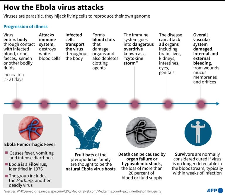 Factfile on how the Ebola virus attacks (John SAEKI)