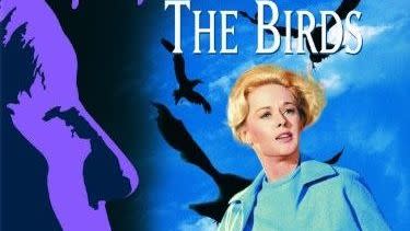 the poster for the classic horror movie the birds, featuring a mother and daughter running away from killer birds