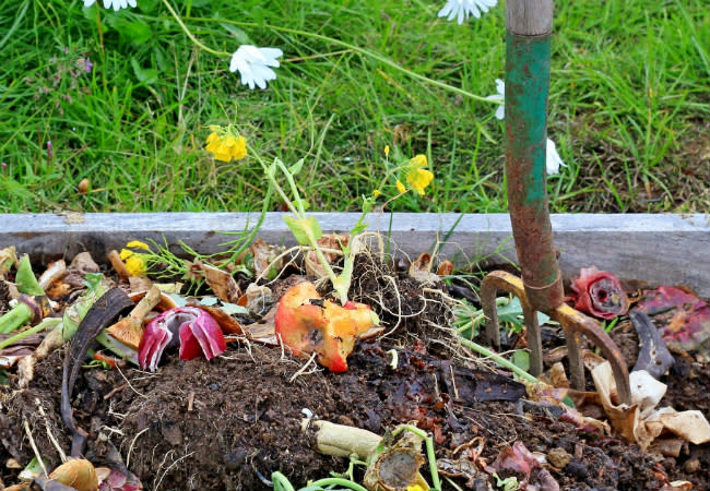 Uses of Charcoal - Composting