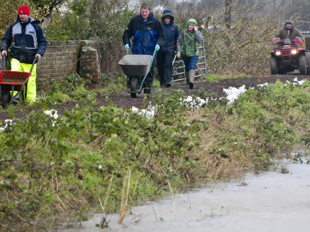 Environmental reforms