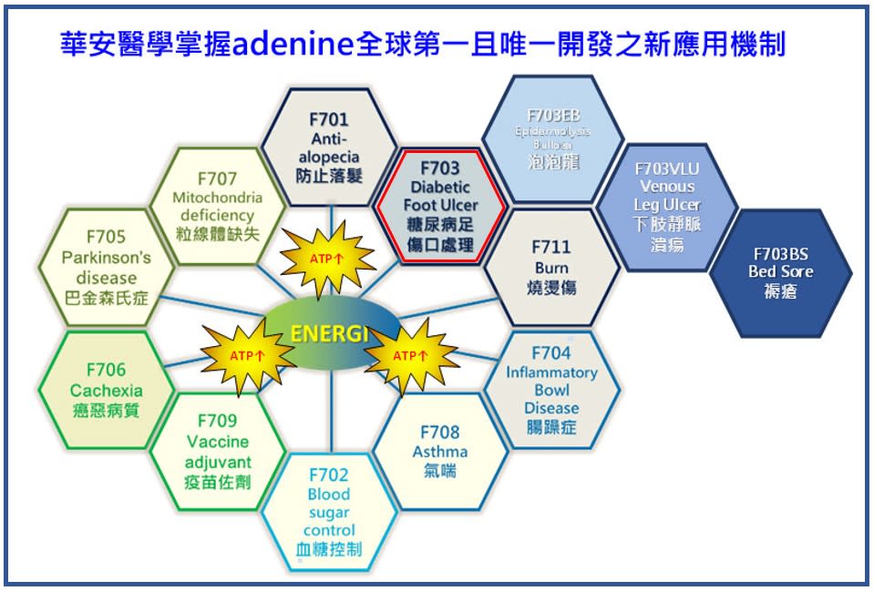 華安與瑞士Healiva SA簽署MOU 深化糖尿病足潰瘍新藥合作