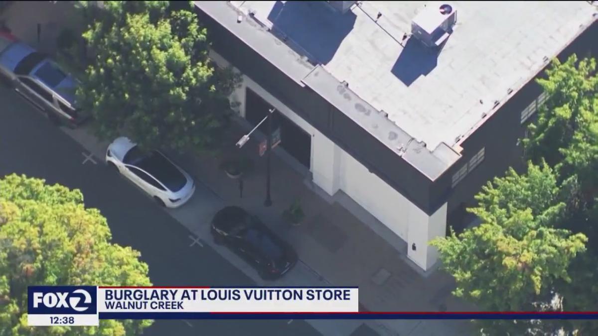 Thieves Smash Car into Louis Vuitton Store to Steal Designer Handbags,  Second Such Incident This Year - News18