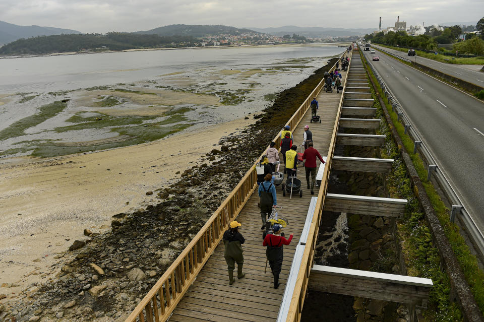 Clam diggers walk in the lower estuary of Lourizan before the start of their daily workday in Galicia, northern Spain, Thursday, April 20, 2023. They fan out in groups, mostly women, plodding in rain boots across the soggy wet sands of the inlet, making the most of the low tide. These are the clam diggers, or as they call themselves, "the peasant farmers of the sea." (AP Photo/Alvaro Barrientos)