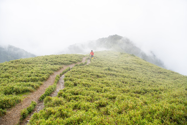 合歡南峰步道，午後雷陣雨後出發，山嵐迷濛，但天氣逐漸轉好