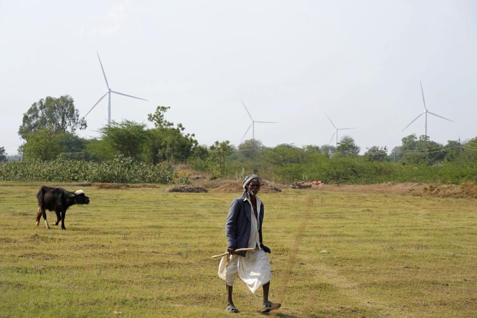 A man walks near wind turbines, an Adani Group project, near Sadla village in Surendranagar district of Gujarat state, India, Monday, March 20, 2023. Gautam Adani and his companies lost tens of billions of dollars and the stock for his green energy companies have plummeted. Despite Adani's renewable energy targets accounting for 10% of India's clean energy goals, some analysts say Adani's woes won't likely hurt India's energy transition. (AP Photo/Ajit Solanki)