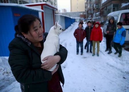 Sun Huanping, 55, holds her pet dog as she takes a walk near her house in Zhangjiakou, China, November 23, 2015. REUTERS/Kim Kyung-Hoon