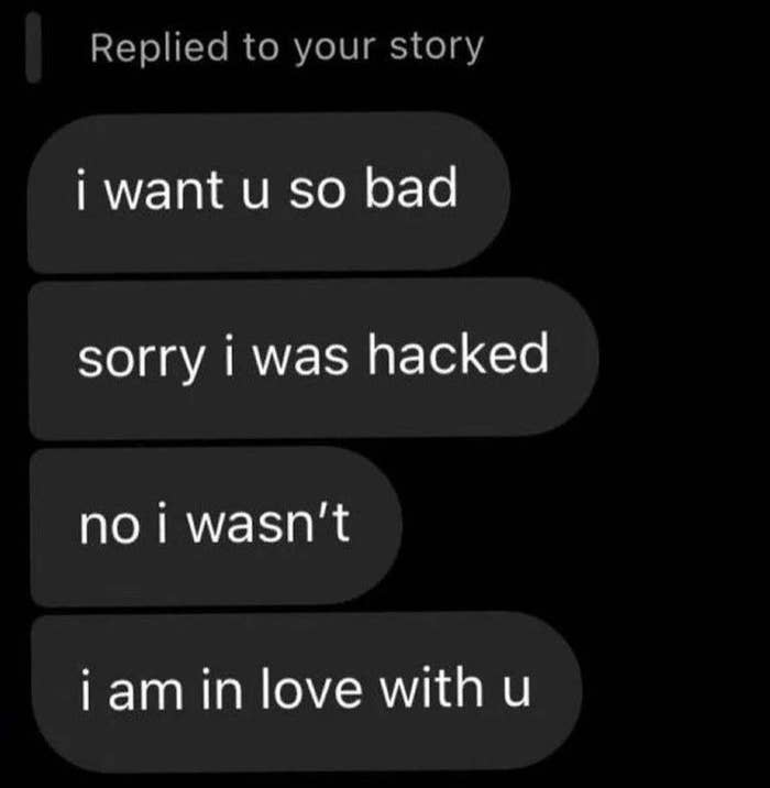 I want you so bad / Sorry I was hacked / No I wasn't / I am in love with you
