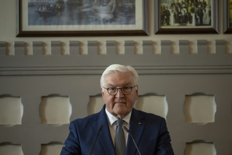 Bundespräsident Frank-Walter Steinmeier setzt seinen Türkei-Besuch fort. (Yasin AKGUL)