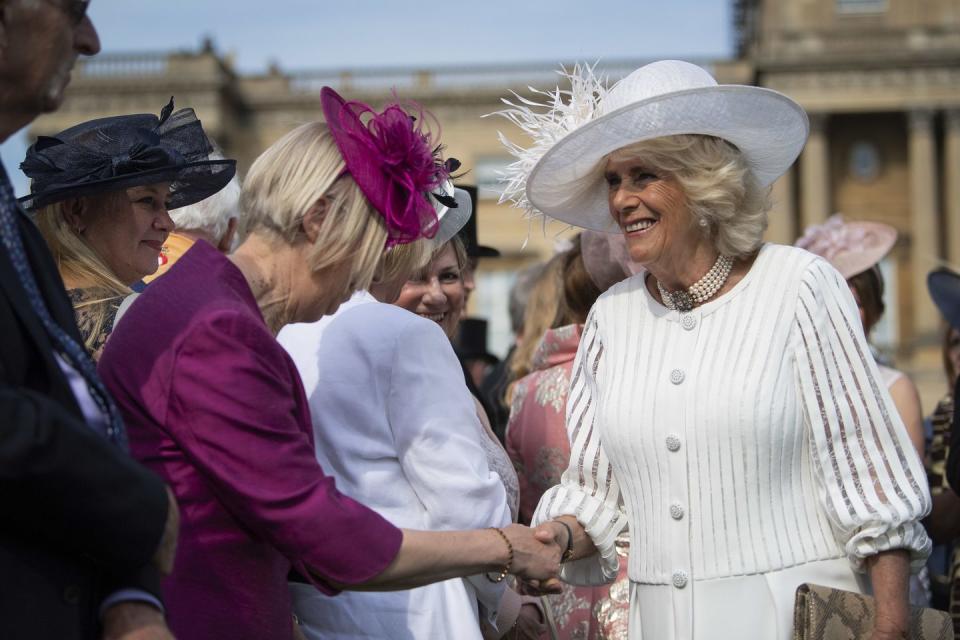 <p>Camilla is greeted by an attendee.</p>