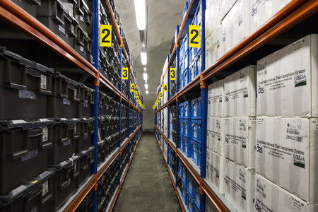 Seeds are stored on shelves at the international gene bank Svalbard Global Seed Vault (SGSV) near Longyearbyen on Spitsbergen, Norway, October 20, 2015. REUTERS/Anna Filipova