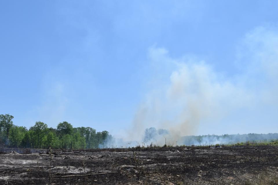 Smoke continues rising out of trees above a burned through area in Grayling Township on June 4, 2023.