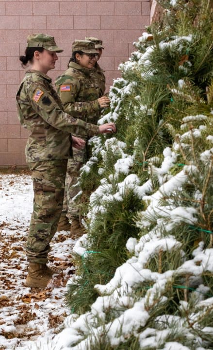 Soldiers with the Pennsylvania Army National Guard’s 228th Motor Transportation Battalion gather Christmas trees from supporting farms across central Pennsylvania and transport them to a centralized location for easy distribution to veterans and Pennsylvania National Guard service members as part of the PA Trees 4 PA Heroes program. (Courtesy Photo by Wayne Hall)