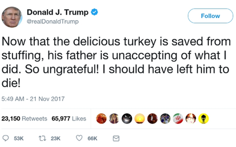 trump turkey