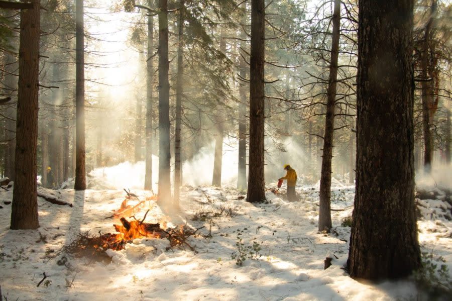 Tahoe National Forest