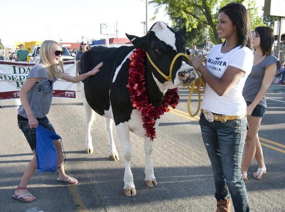 The Meridian Dairy Days “Real Dairy” Parade winds around Storey Park. Katherine Jones/Idaho Statesman file